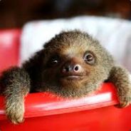 Steam avatar 76561198187795045