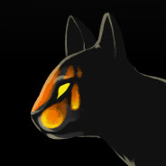 Steam avatar 76561199123043257